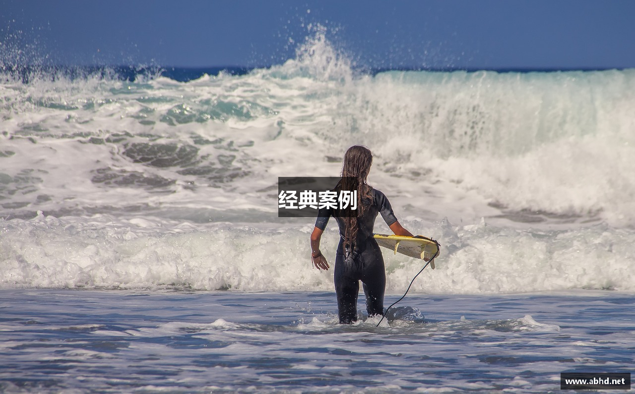经典案例
